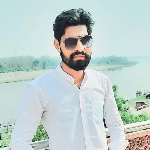 Anil Mehta, Website Developer